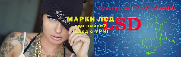 индика Хадыженск