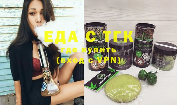 индика Фурманов