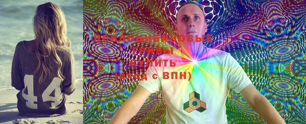 MESCALINE Верея