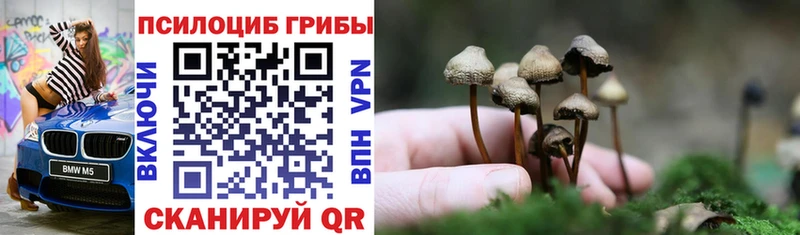Купить закладки  Ртищево  Галлюциногенные грибы GOLDEN TEACHER 